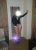 Arnavutköyden sınırsız escort Gözde - Image 1