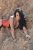 Avrupa Yakası Rus Model Escort Julia - Image 3