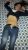 Şişli Seksi Escort Bayan Zara - Image 14