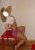 Beykent yeni escort bayan çıtır Nur - Image 1
