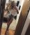 Pendik escort ayça