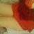 beylikduzu escort cansu