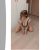 bostanci-escort-bahar (9)