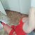 erenkoy-escort-seda (10)