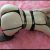 kartal escort pelinsu