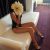 şişli escort ecrin