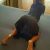 ataşehir escort linda