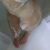 avrupa yakasi escort sevgi