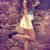 istanbul escort anya