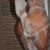 fatih escort maria