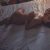 Maltepe Escort Bayan Ozge