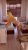 Güngören Escort Bayan Begüm - Image 1
